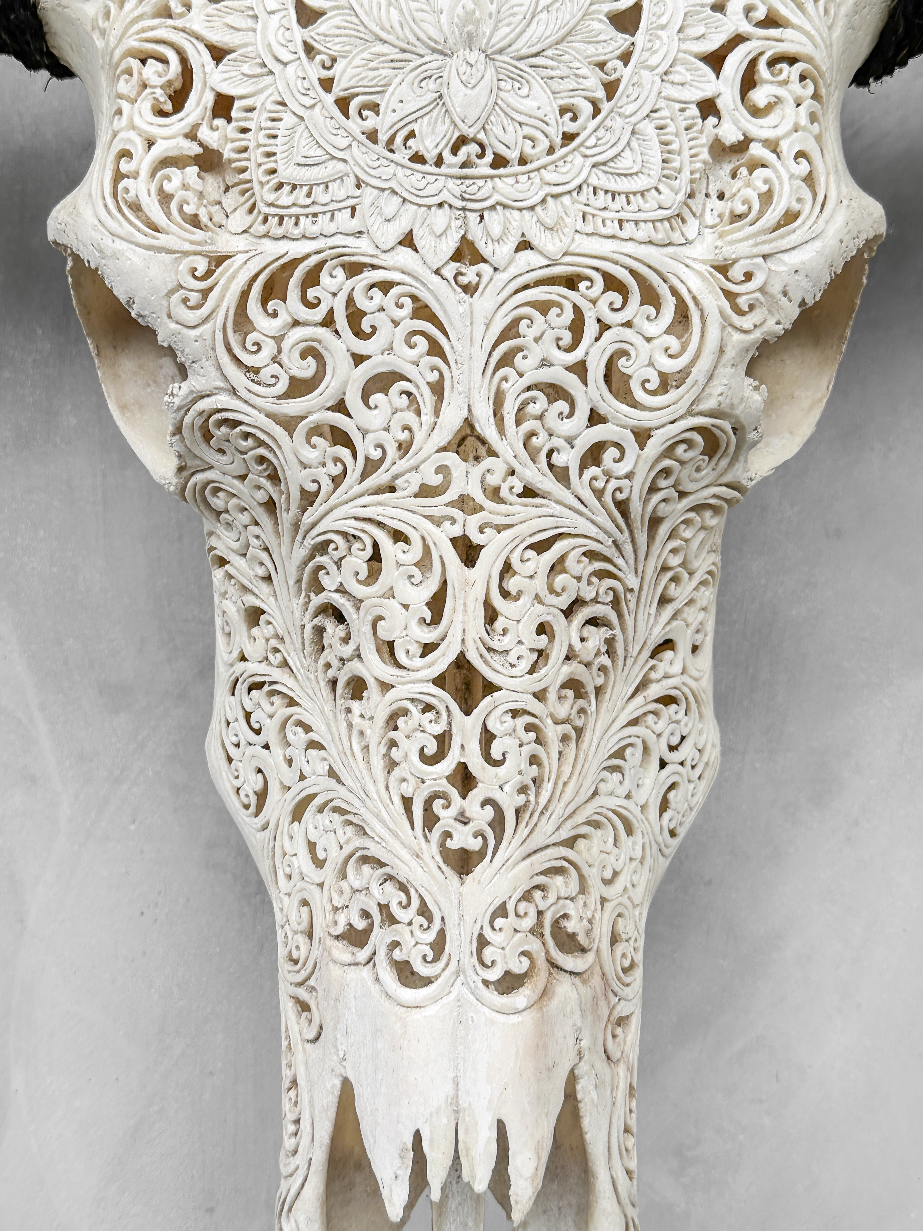 Caved Waterbuffalo Skulls with Big lotus Carving Skull,A/089