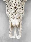 Caved Waterbuffalo Skulls with Big lotus Carving Skull,A/089
