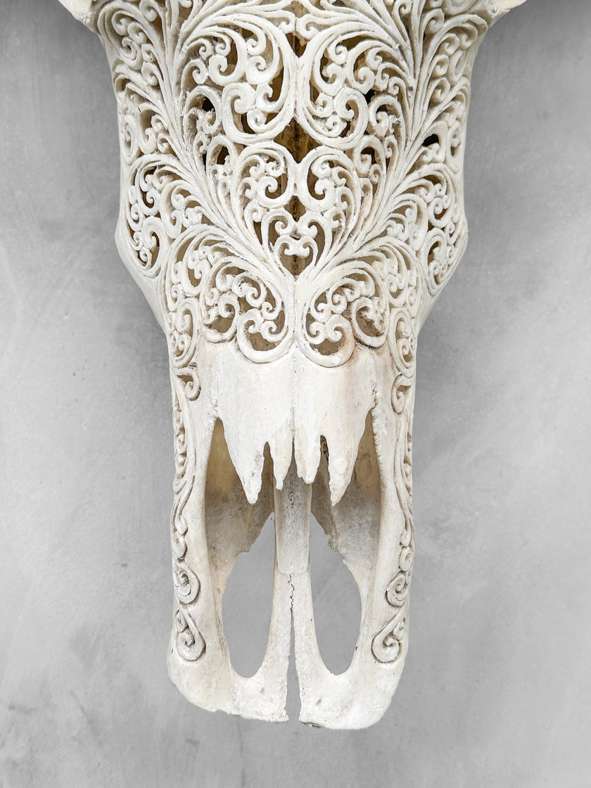 Caved Waterbuffalo Skulls with Big lotus Carving Skull,A/089