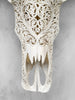 Caved Waterbuffalo Skulls with Big lotus Carving Skull,A/089