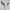 Caved Waterbuffalo Skulls with Big lotus Carving Skull,A/089