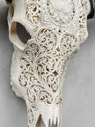 Caved Waterbuffalo Skulls with Big lotus Carving Skull,A/089