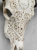 Caved Waterbuffalo Skulls with Big lotus Carving Skull,A/089