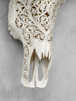 Caved Waterbuffalo Skulls with Big lotus Carving Skull,A/089