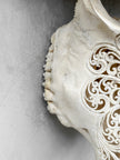 Caved Waterbuffalo Skulls with Big lotus Carving Skull,A/089