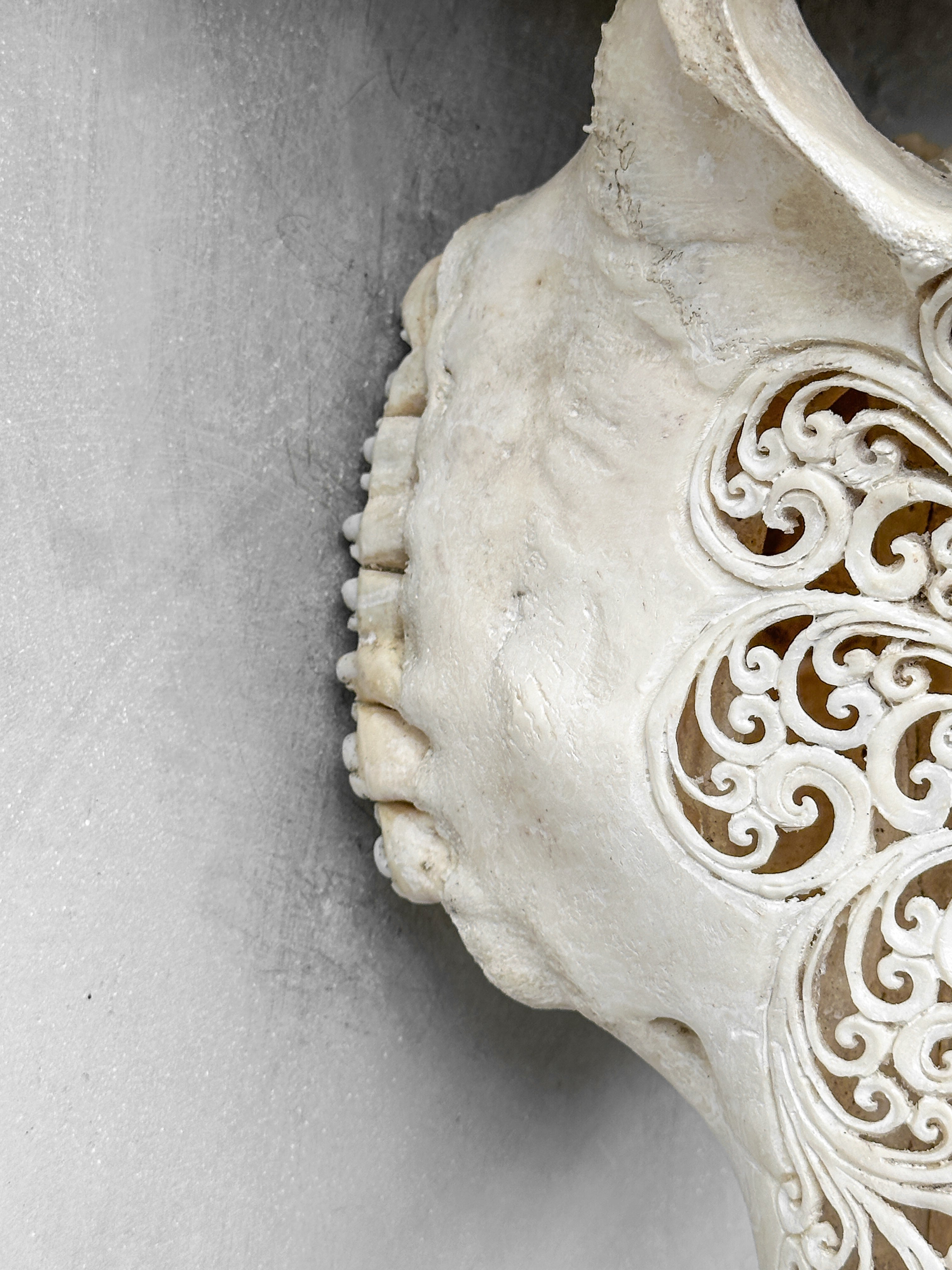 Caved Waterbuffalo Skulls with Big lotus Carving Skull,A/089