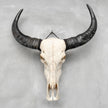 Plain White Water Buffalo Skull | Skull,A/092