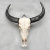 Plain White Water Buffalo Skull | Skull,A/092