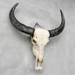 Plain White Water Buffalo Skull | Skull,A/092
