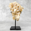 Beautiful Quartz Crystal cluster on a custom stand CC/555