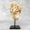 Beautiful Quartz Crystal cluster on a custom stand CC/555