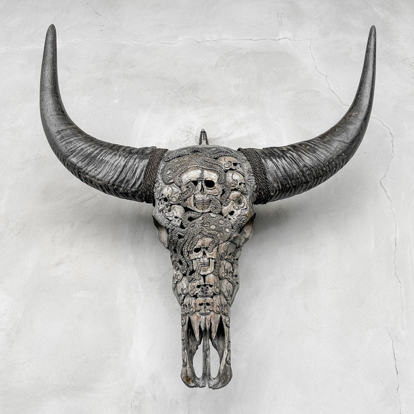 Caved Waterbuffalo Skulls with Human skull oktopus Carving Skull,A/094