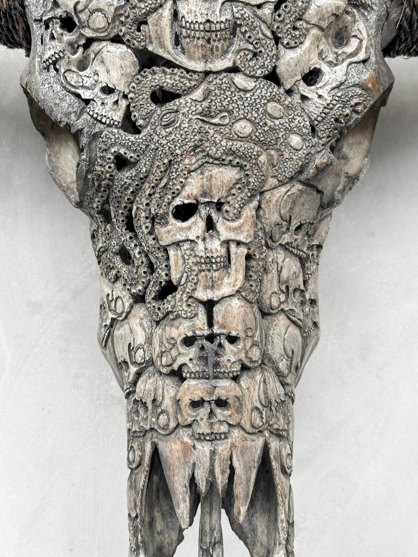 Caved Waterbuffalo Skulls with Human skull oktopus Carving Skull,A/094