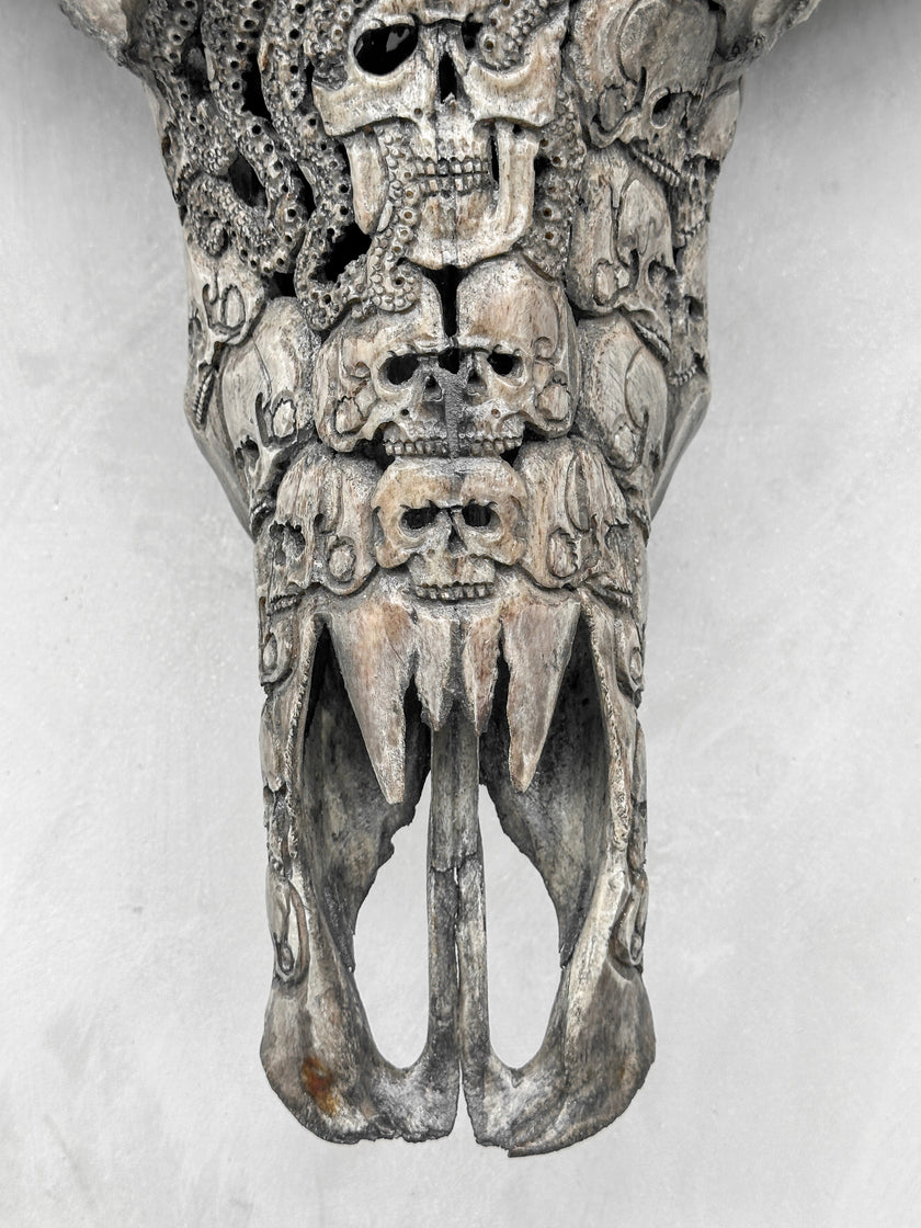 Caved Waterbuffalo Skulls with Human skull oktopus Carving Skull,A/094