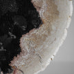 A Beautiful Slice of Petrified Palm Root on stand  PetW/046