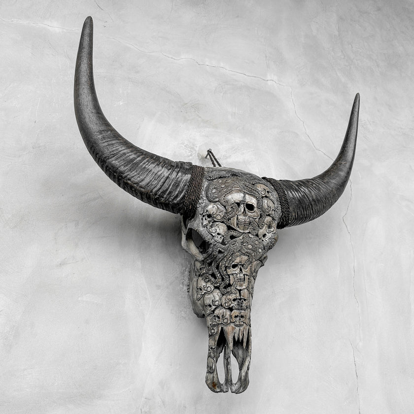 Caved Waterbuffalo Skulls with Human skull oktopus Carving Skull,A/094