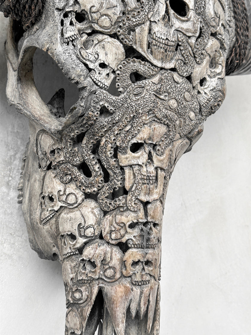 Caved Waterbuffalo Skulls with Human skull oktopus Carving Skull,A/094