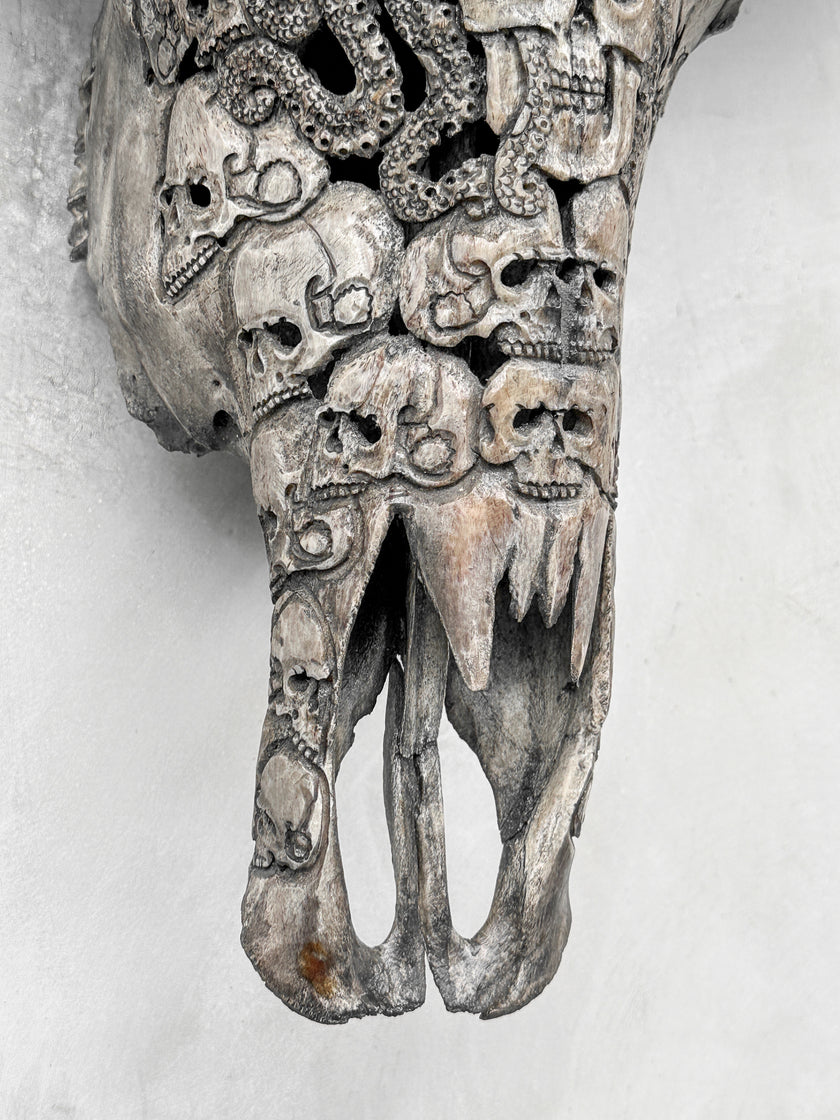 Caved Waterbuffalo Skulls with Human skull oktopus Carving Skull,A/094