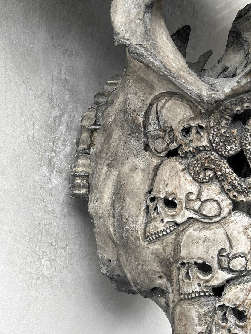 Caved Waterbuffalo Skulls with Human skull oktopus Carving Skull,A/094
