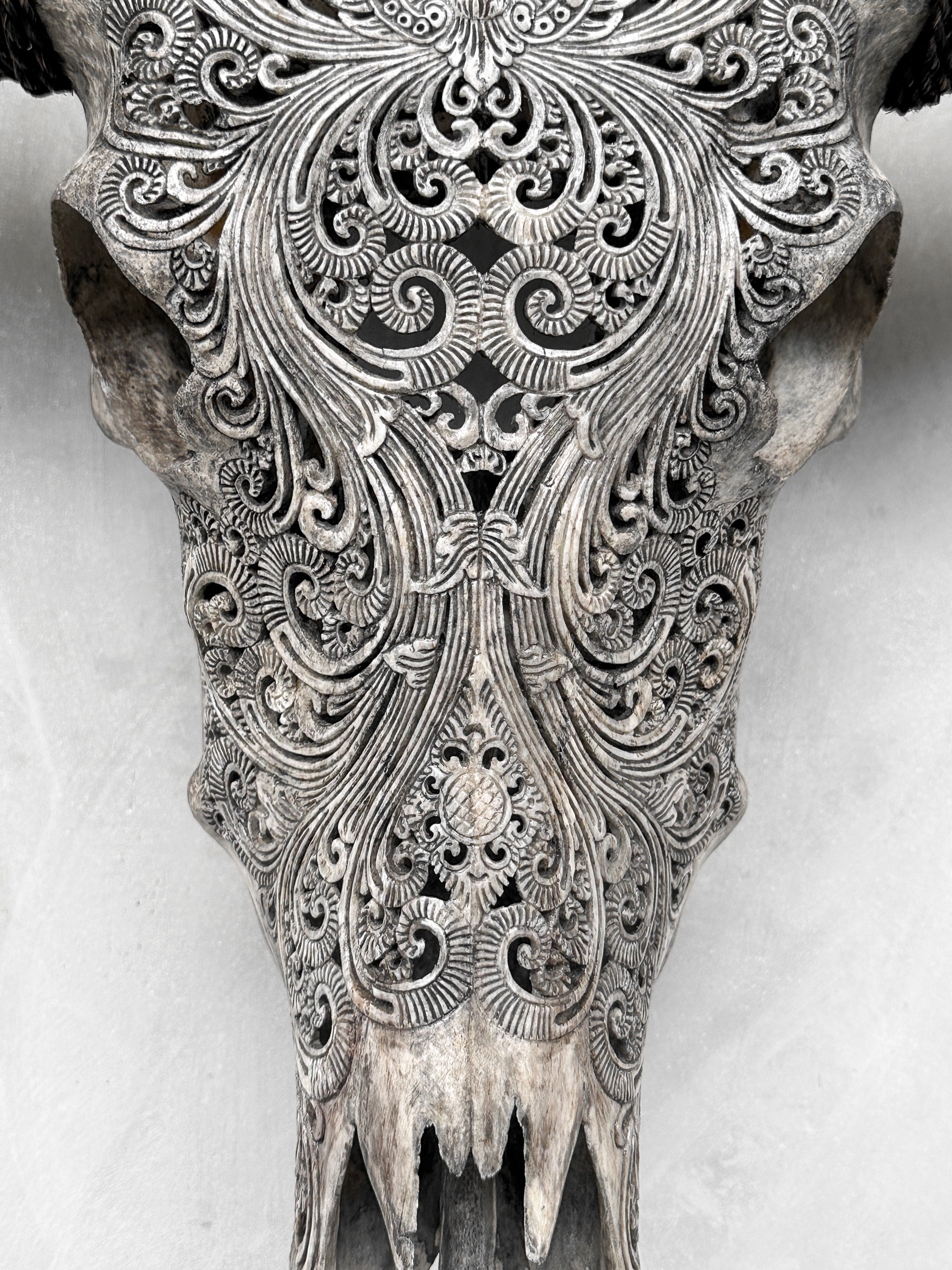 Carved Water Buffalo Skull with Small Lotus – Tribal Wall Art – Artisan Bone Sculpture with Engraved Horns - Skull,A/087