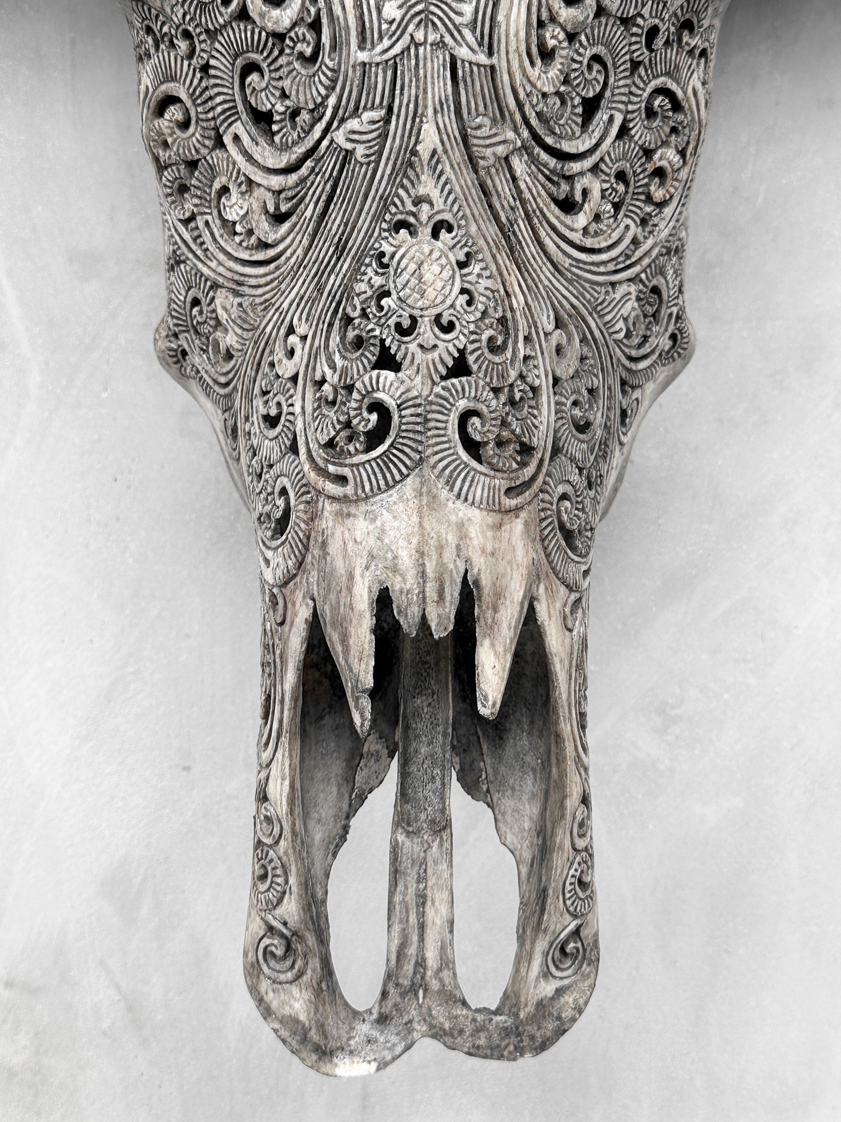 Carved Water Buffalo Skull with Small Lotus – Tribal Wall Art – Artisan Bone Sculpture with Engraved Horns - Skull,A/087