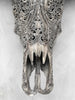 Carved Water Buffalo Skull with Small Lotus – Tribal Wall Art – Artisan Bone Sculpture with Engraved Horns - Skull,A/087
