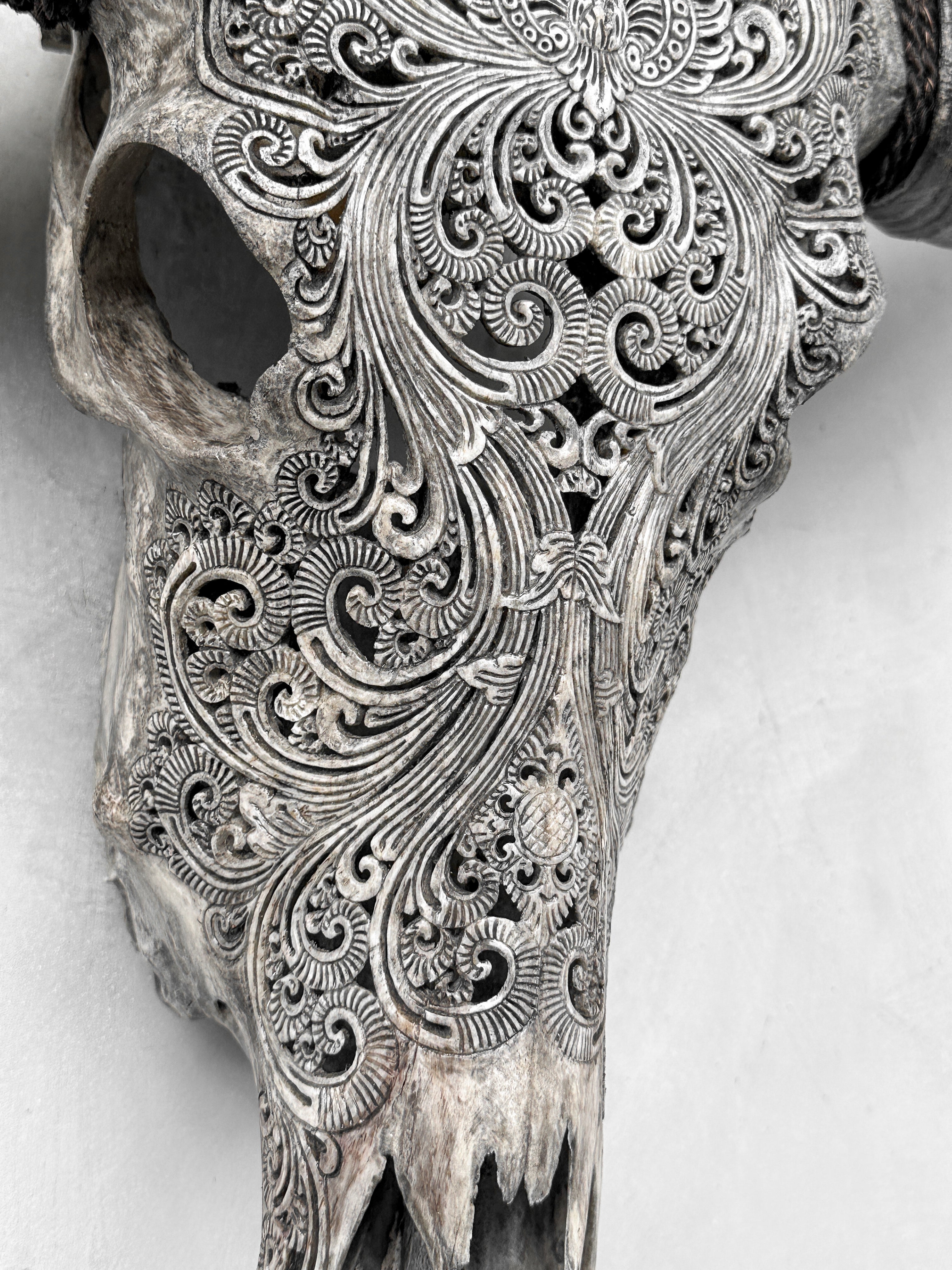 Carved Water Buffalo Skull with Small Lotus – Tribal Wall Art – Artisan Bone Sculpture with Engraved Horns - Skull,A/087