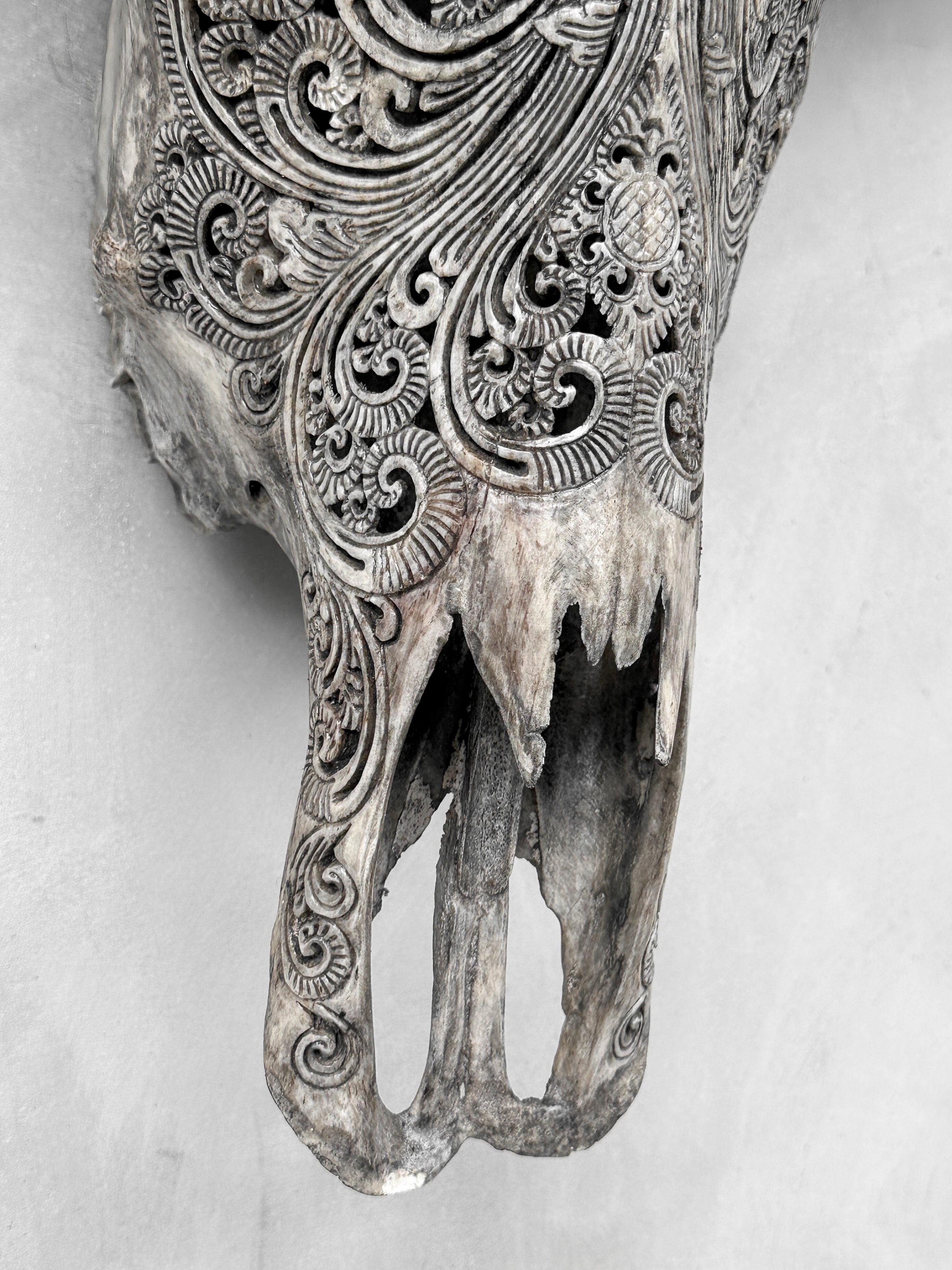 Carved Water Buffalo Skull with Small Lotus – Tribal Wall Art – Artisan Bone Sculpture with Engraved Horns - Skull,A/087