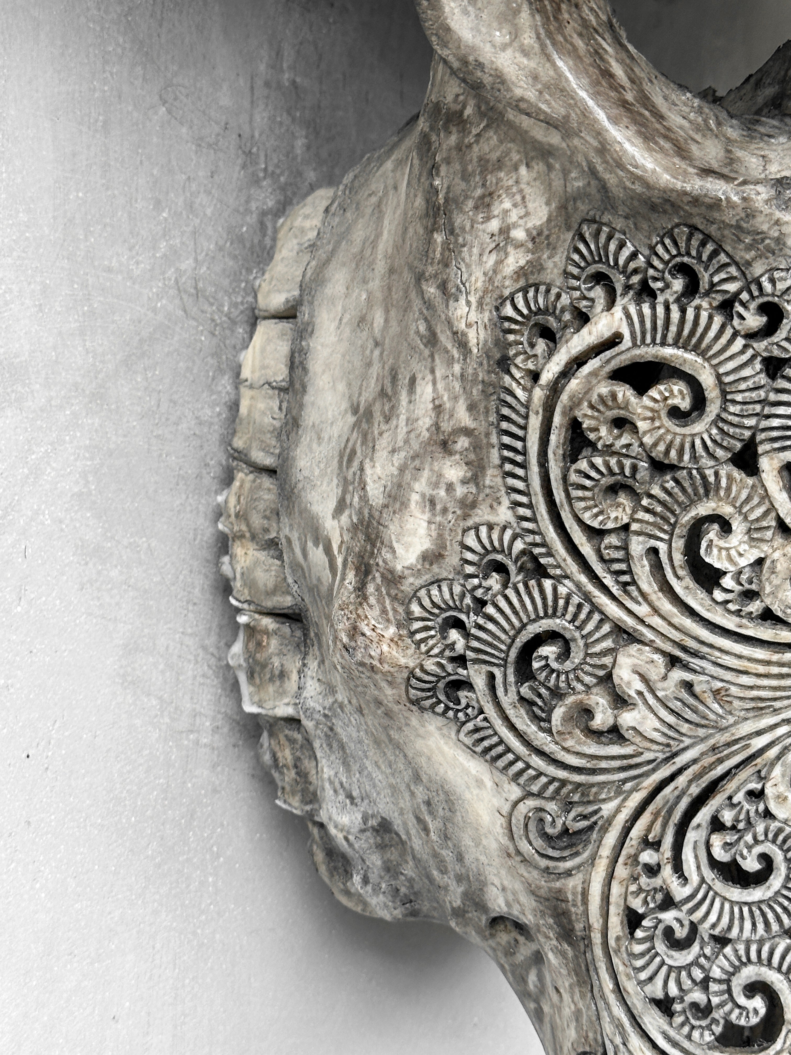 Carved Water Buffalo Skull with Small Lotus – Tribal Wall Art – Artisan Bone Sculpture with Engraved Horns - Skull,A/087