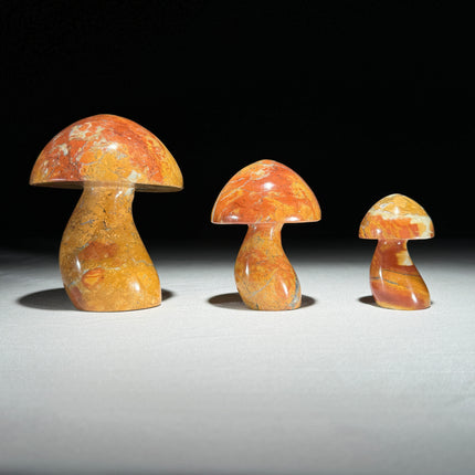 Set 3 Mushroom  - Min,A/045