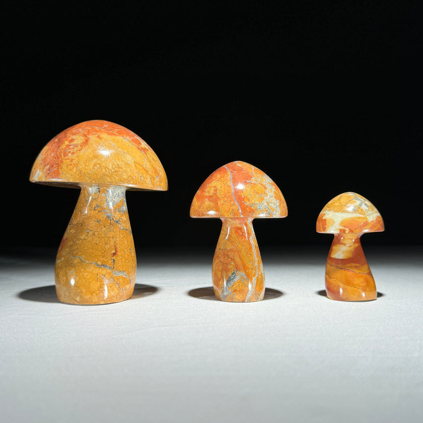 Set 3 Mushroom  - Min,A/045