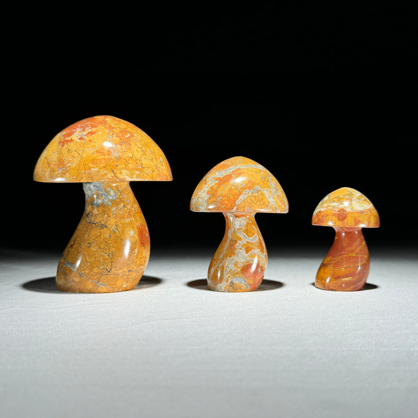 Set 3 Mushroom  - Min,A/045