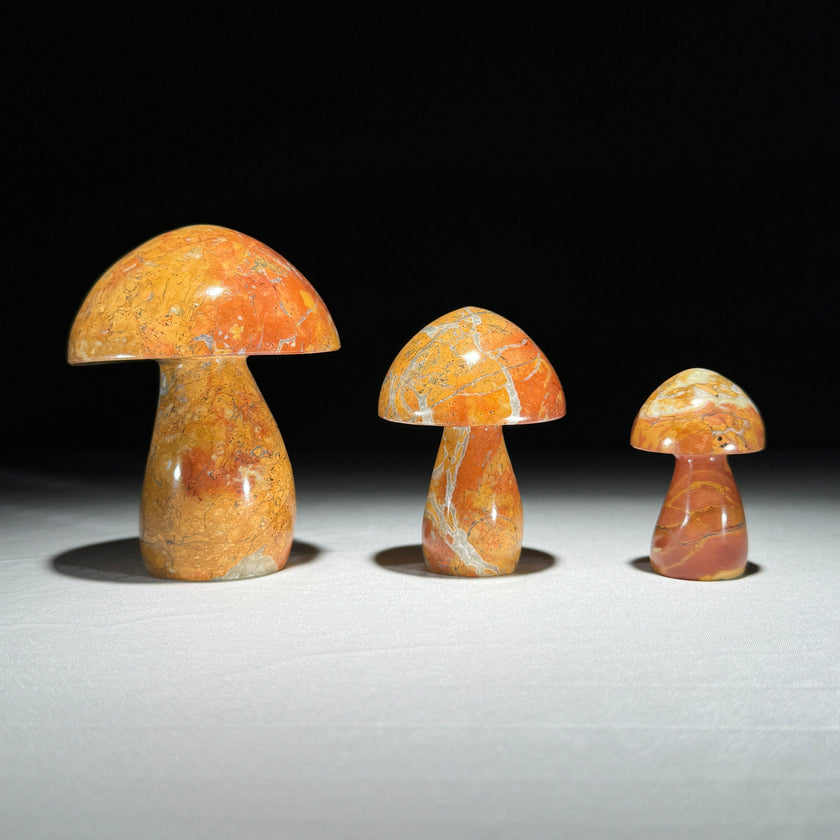 Set 3 Mushroom  - Min,A/045