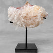 Beautiful Quartz Crystal cluster on a custom stand CC/558