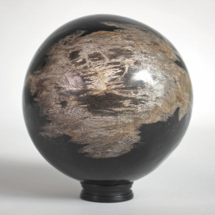 Wonderful Petrified wood Sphere on a custom stand SPHERES 061