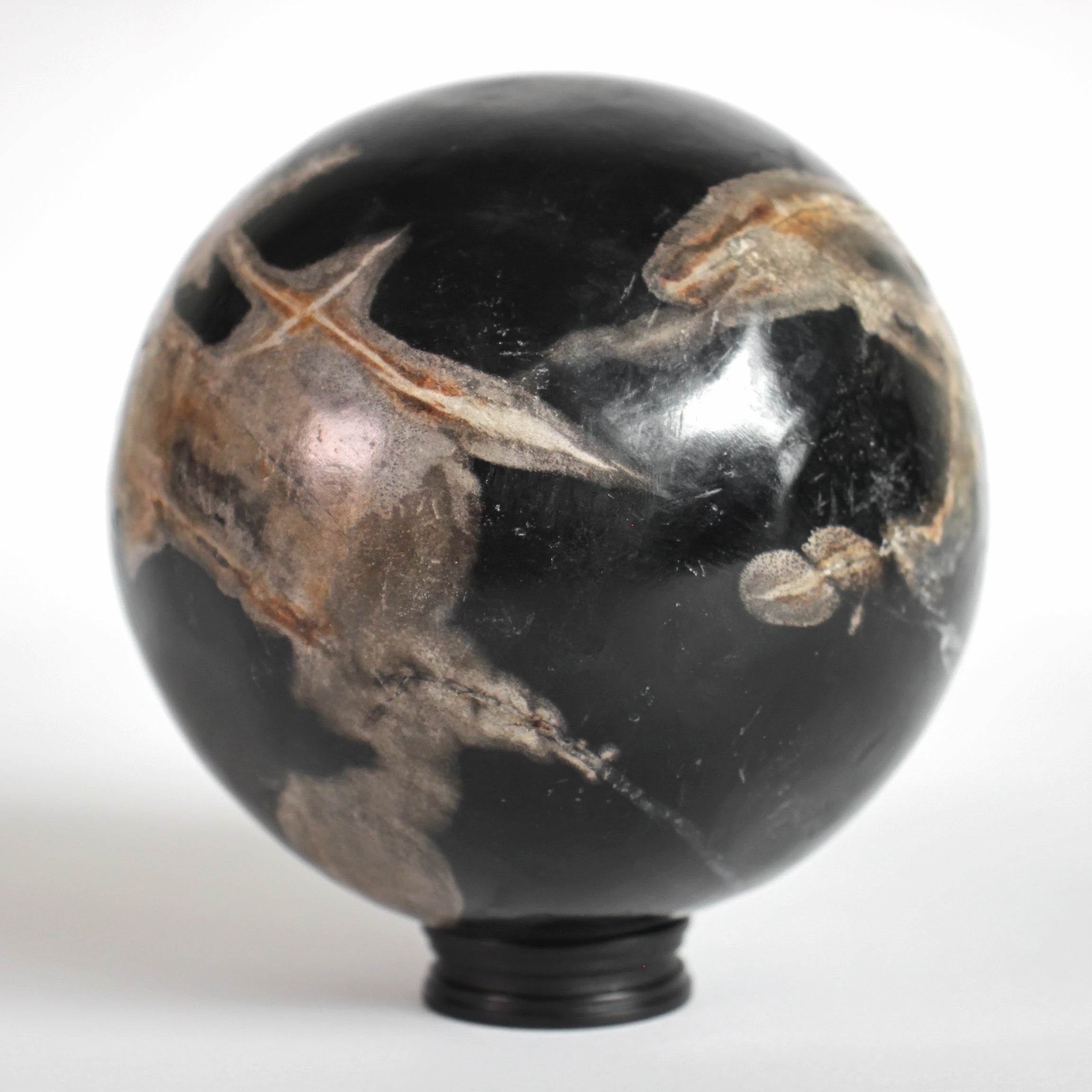 Wonderful Petrified wood Sphere on a custom stand SPHERES 061