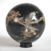 Wonderful Petrified wood Sphere on a custom stand SPHERES 061