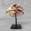 Beautiful Quartz Crystal cluster on a custom stand CC/558