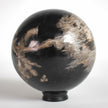 Wonderful Petrified wood Sphere on a custom stand SPHERES 061