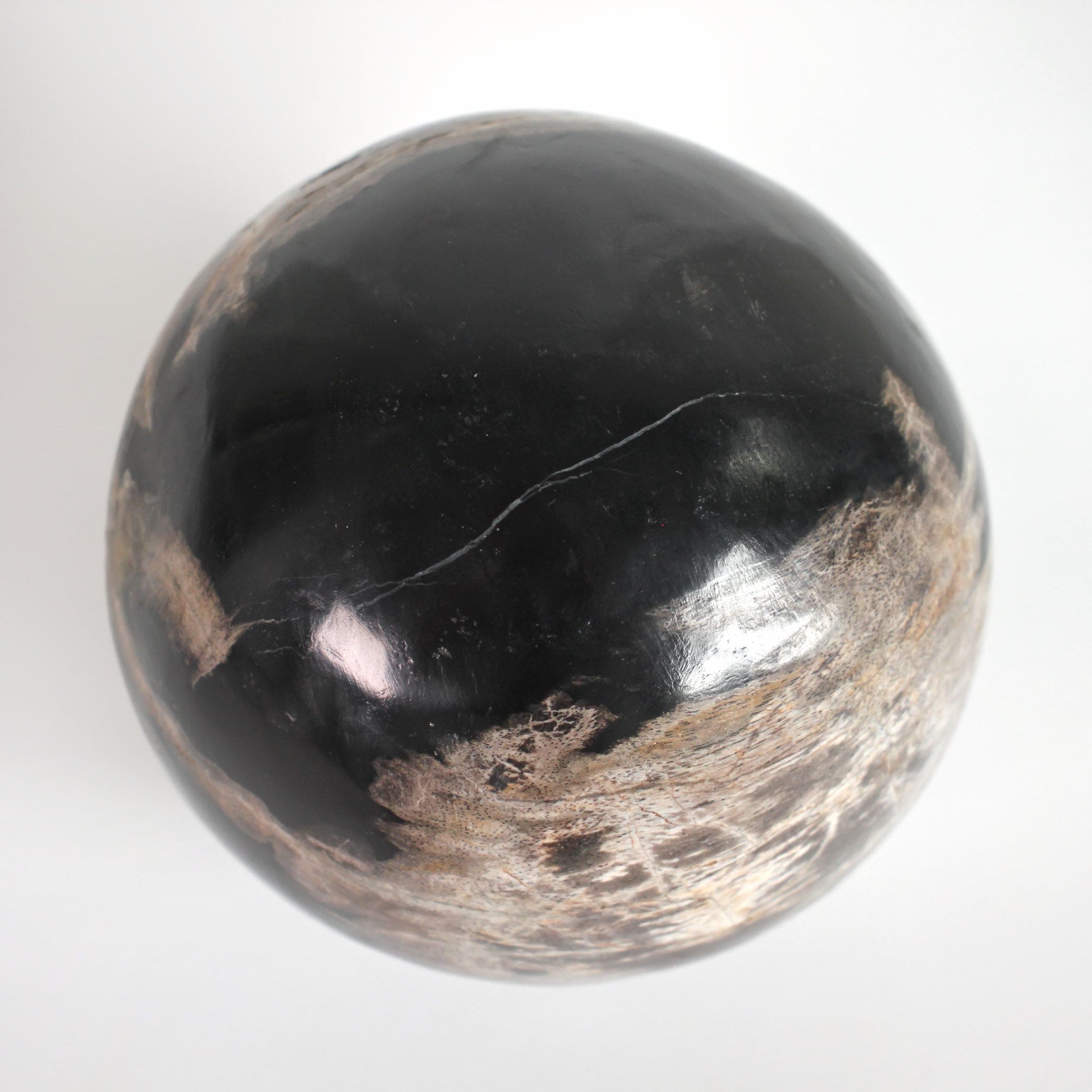 Wonderful Petrified wood Sphere on a custom stand SPHERES 061