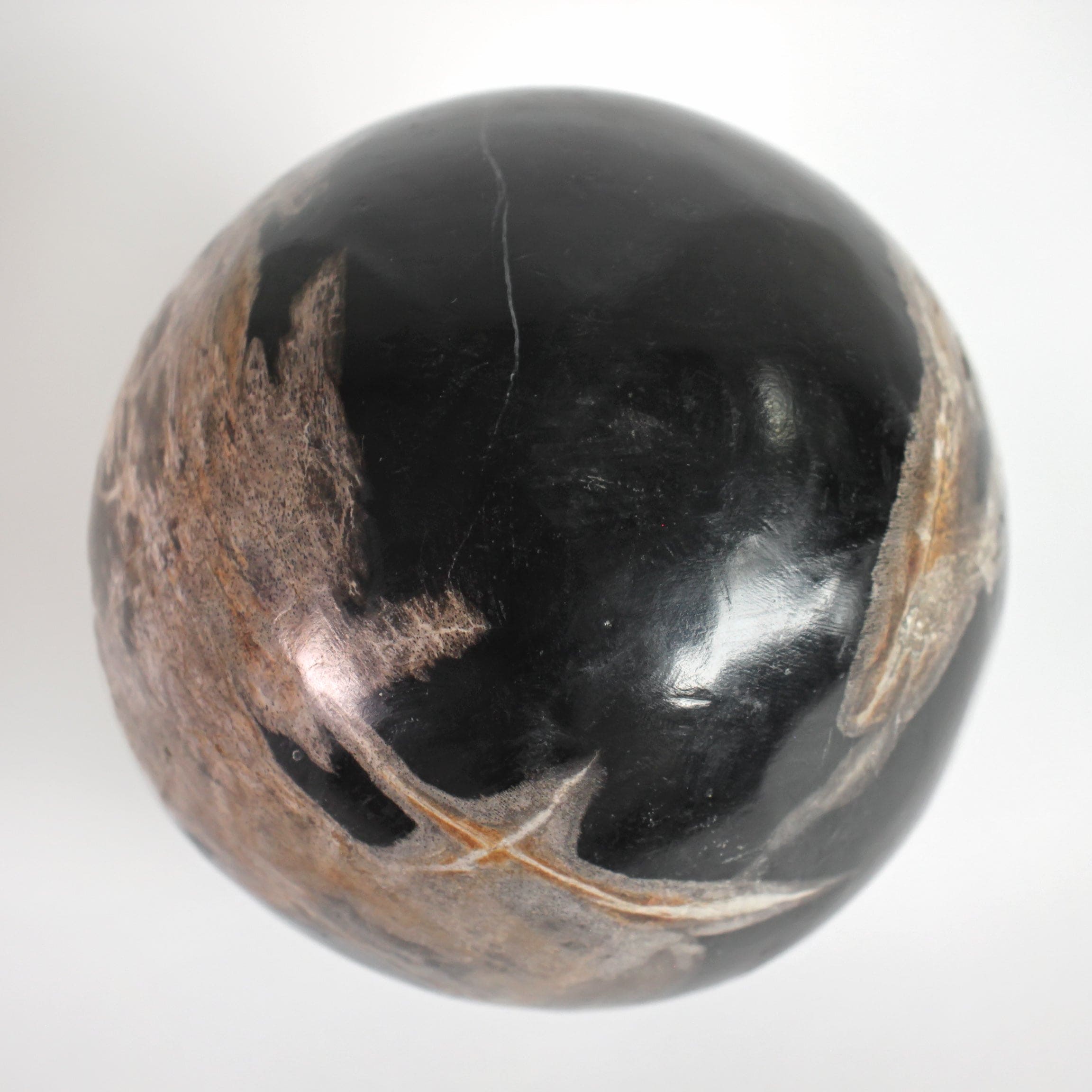 Wonderful Petrified wood Sphere on a custom stand SPHERES 061