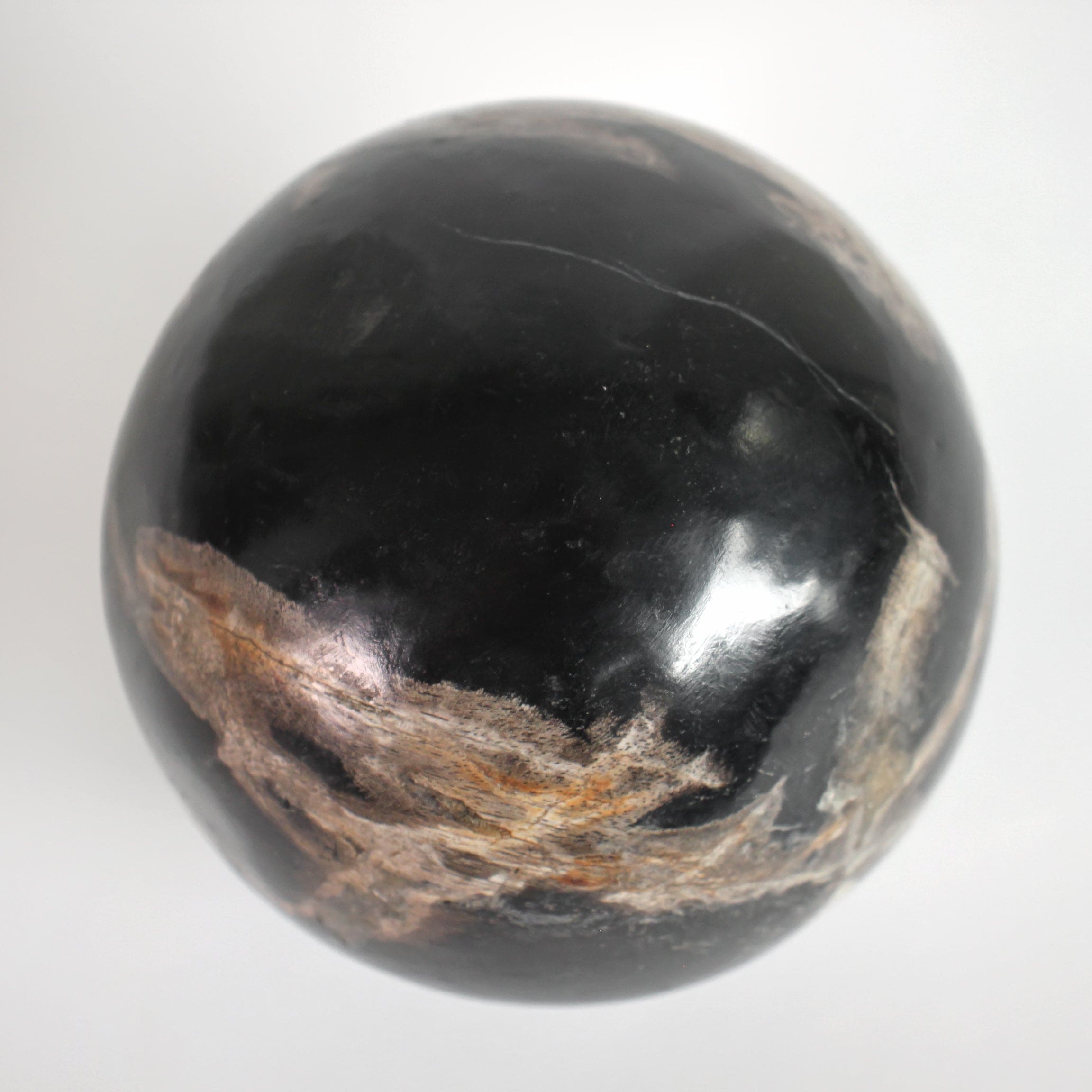 Wonderful Petrified wood Sphere on a custom stand SPHERES 061