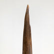 Carved Tusks 22/EX/427 Carving Bunga