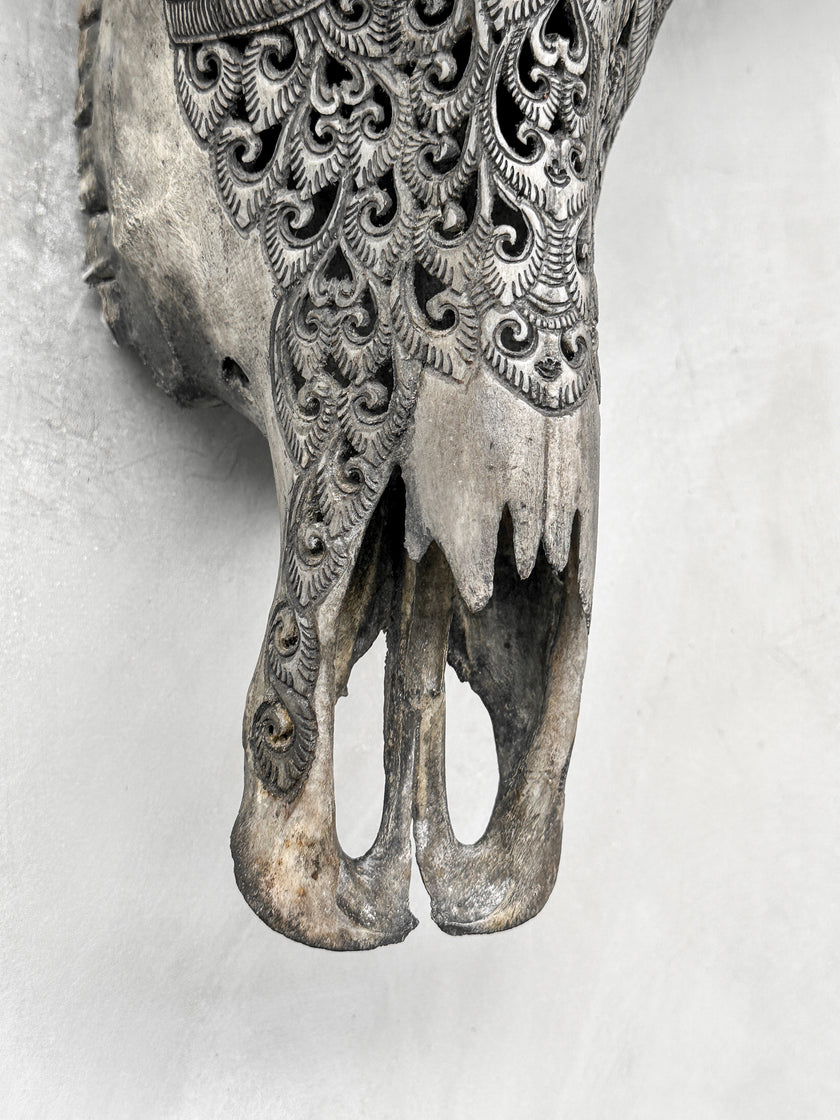 Caved Waterbuffalo Skulls with Leaf Carving Skull,A/095
