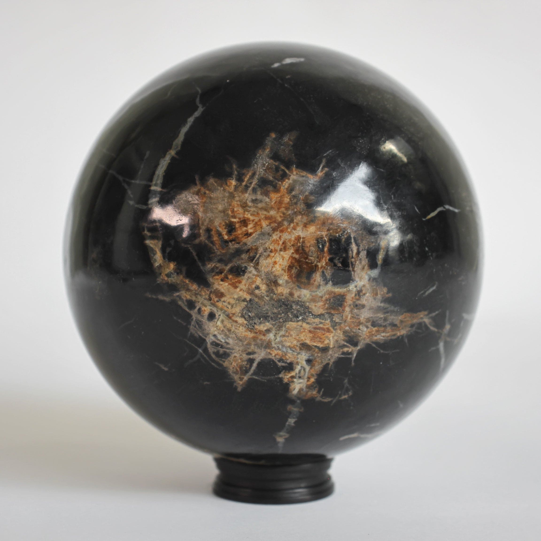 Wonderful Petrified wood Sphere on a custom stand SPHERES 063