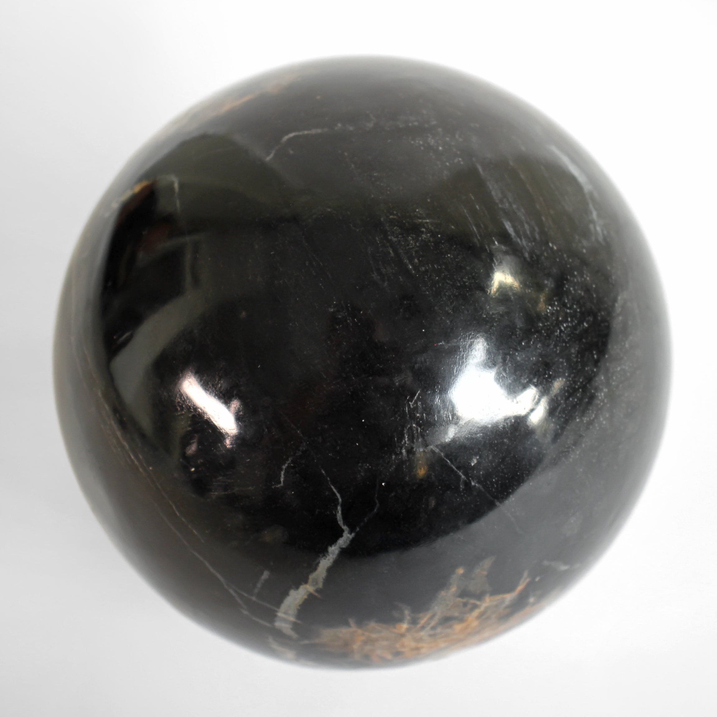 Wonderful Petrified wood Sphere on a custom stand SPHERES 063