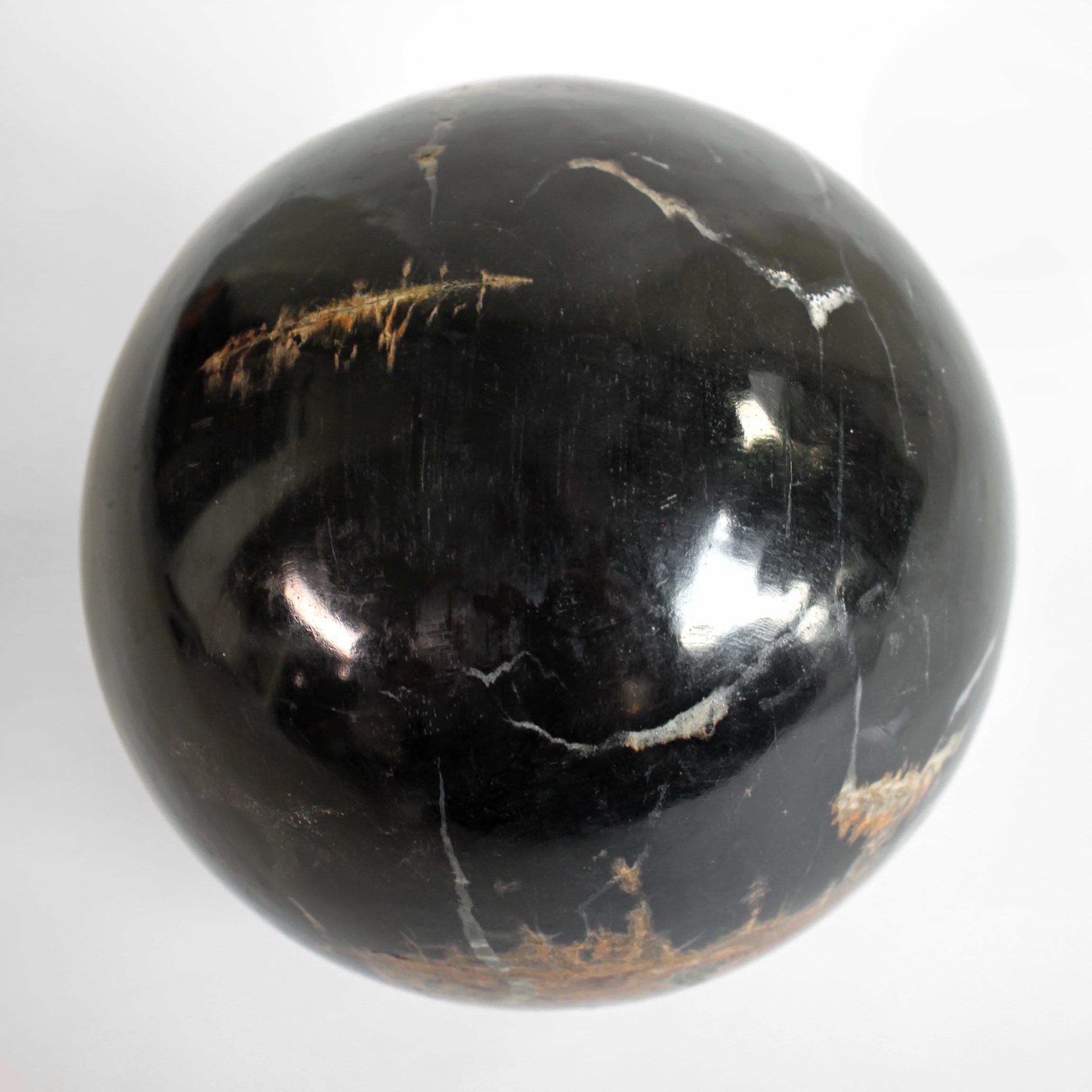 Wonderful Petrified wood Sphere on a custom stand SPHERES 063