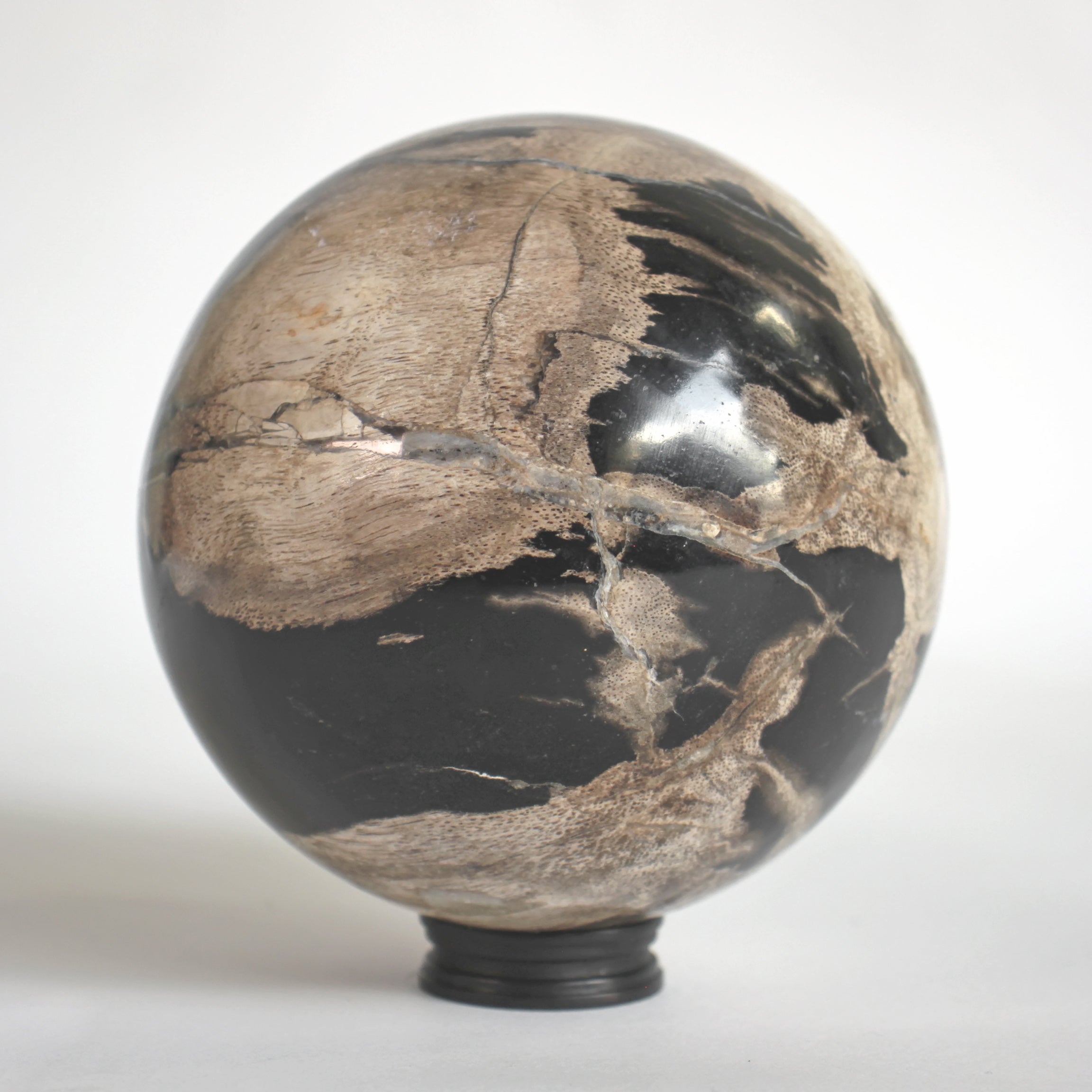 Wonderful Petrified wood Sphere on a custom stand SPHERES 058