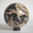 Wonderful Petrified wood Sphere on a custom stand SPHERES 058