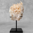 Beautiful Quartz Crystal cluster on a custom stand CC/564